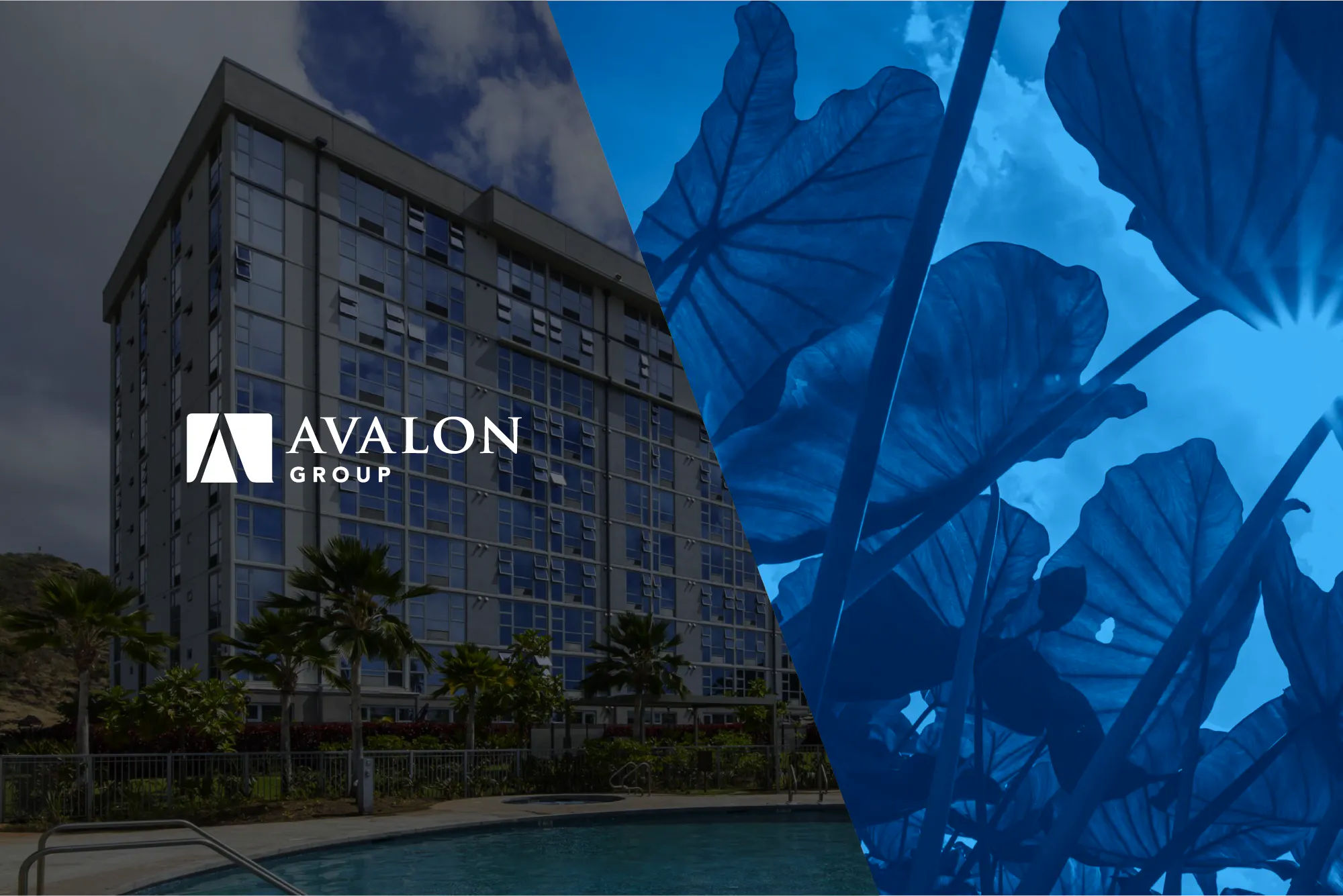Avalon Group website project hero