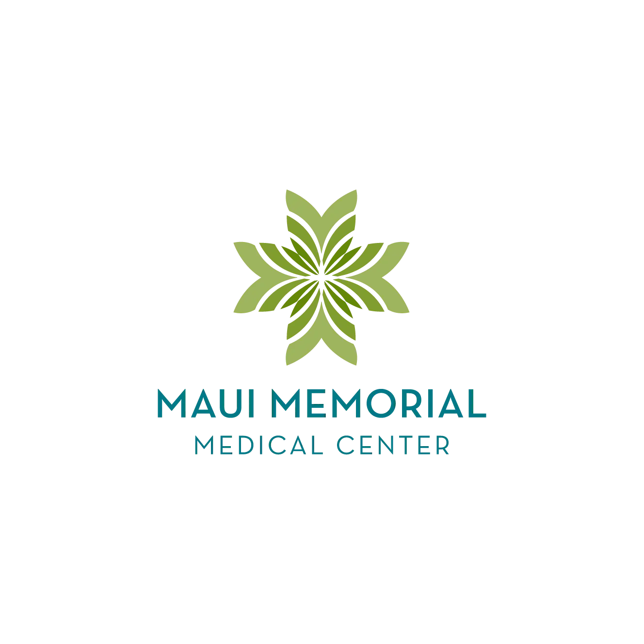 Maui Memorial Medical Center