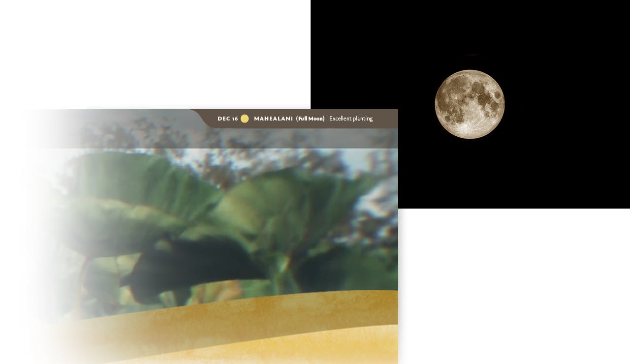 Moon Phase Widget: Mahealani (Full Moon)