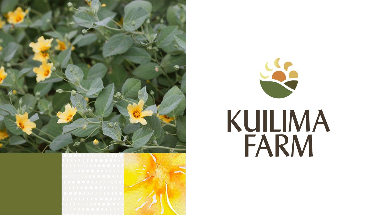 Design Elements: Kuilima Farm logo depicting phases of the moon, which, since ancient Hawaiian History, guided timing for farming and other cultural practices. The moon phases also represent petals of the farm’s namesake, ‘ilima, an indigenous plant with delicate golden yellow flowers. Photo of ‘Ilima Flowers above color palette.
