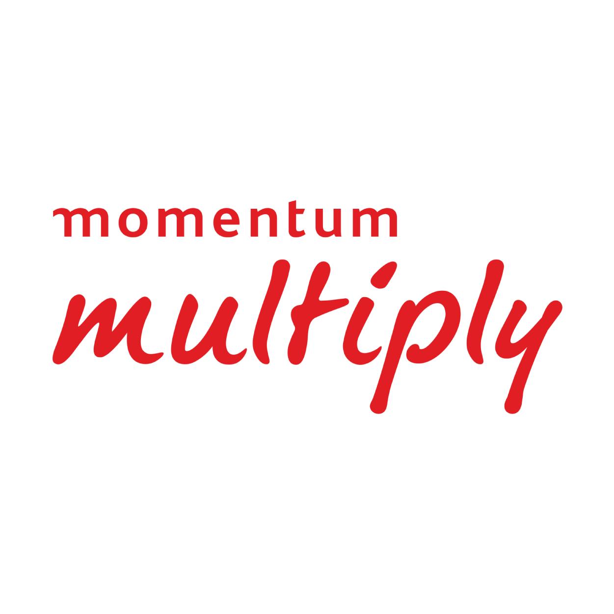 momentum multiply travel partners