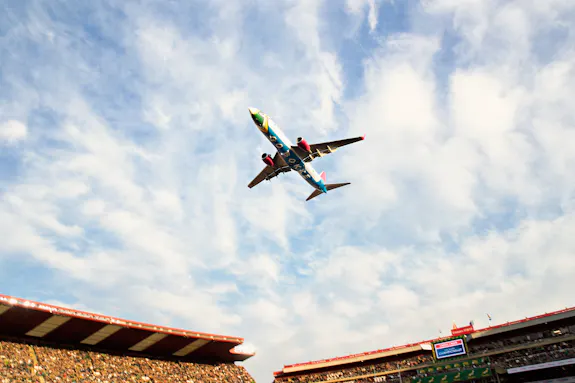 Springbok Carriers FlySafair - Trusted Domestic Carrier of The Springboks