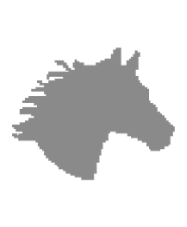 Horse icons