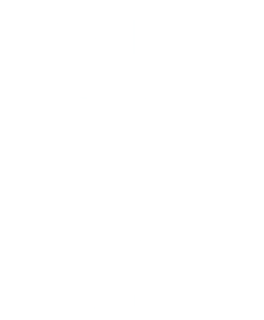 horse icon