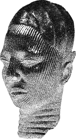 Black and white graphic of stone head