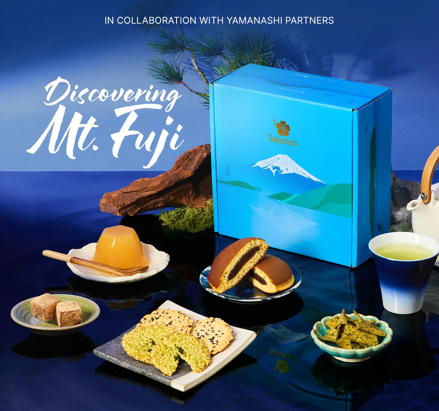 Discovering Mt. Fuji