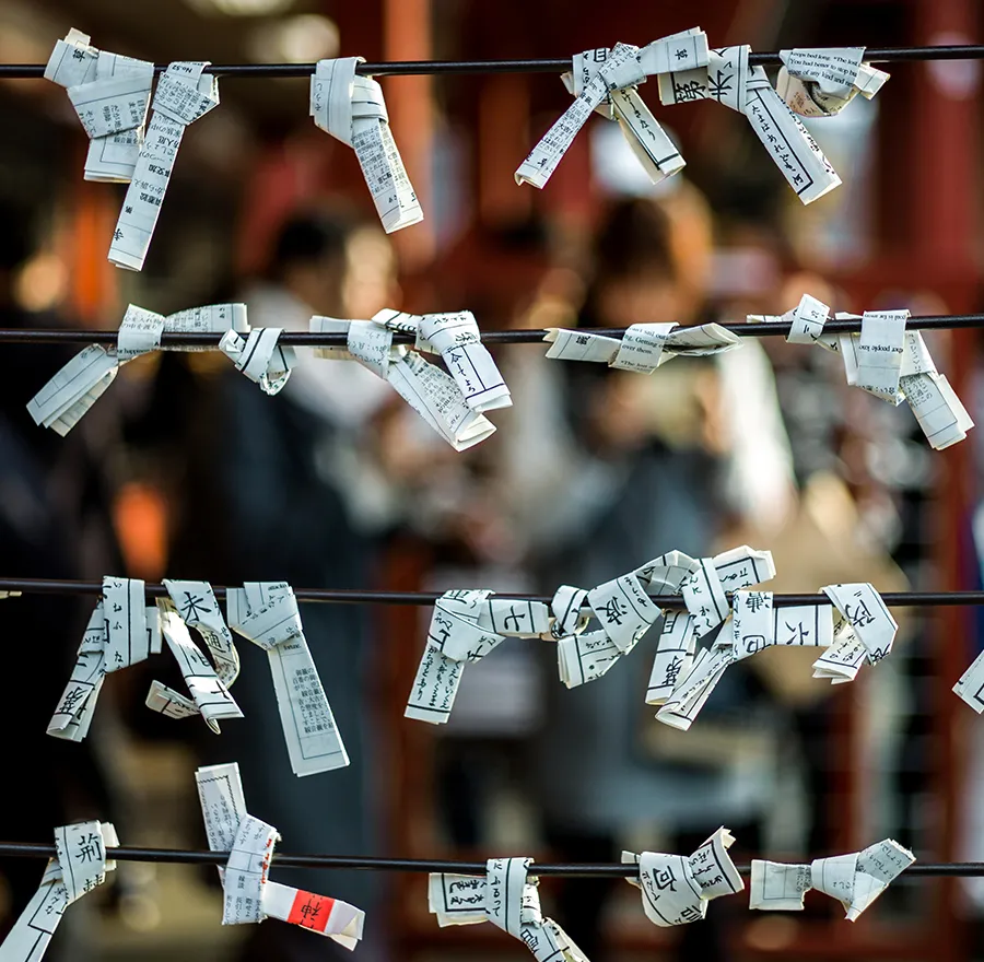 Omikuji, Japanese fortunes, tied at the shrine.