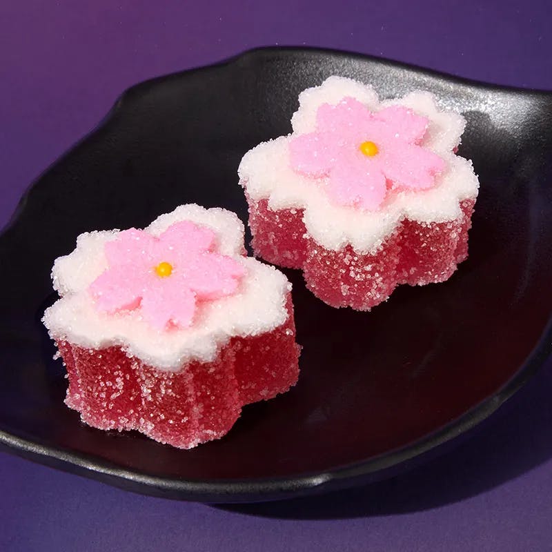 Mochi & Fruit Marvels | Past Box | Sakuraco
