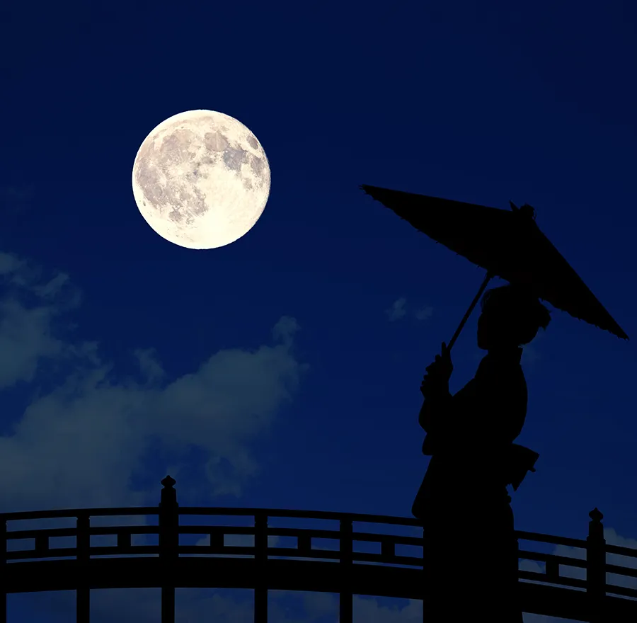 A woman stands admiring the moon