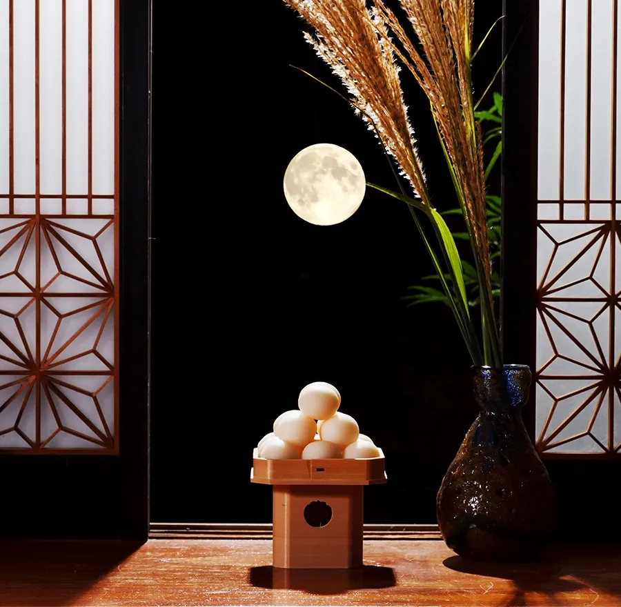 A view of the moon with pampas grass and tsukimi dango