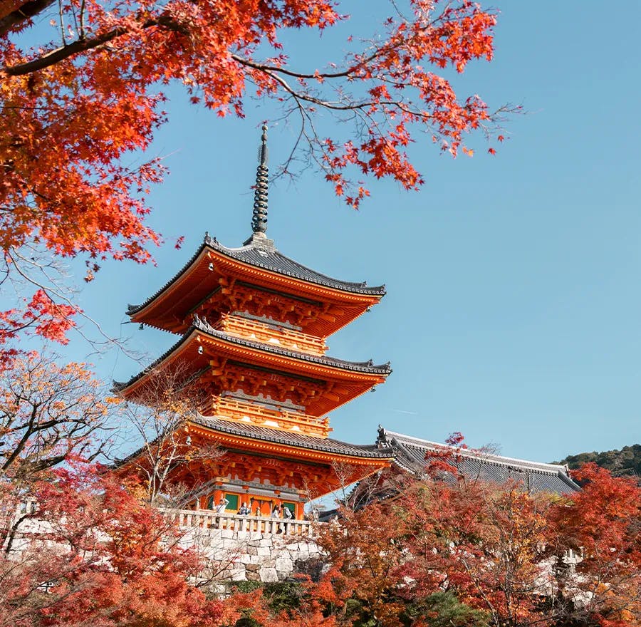 Photo of a Japanese pagoda with an autumn surrounding