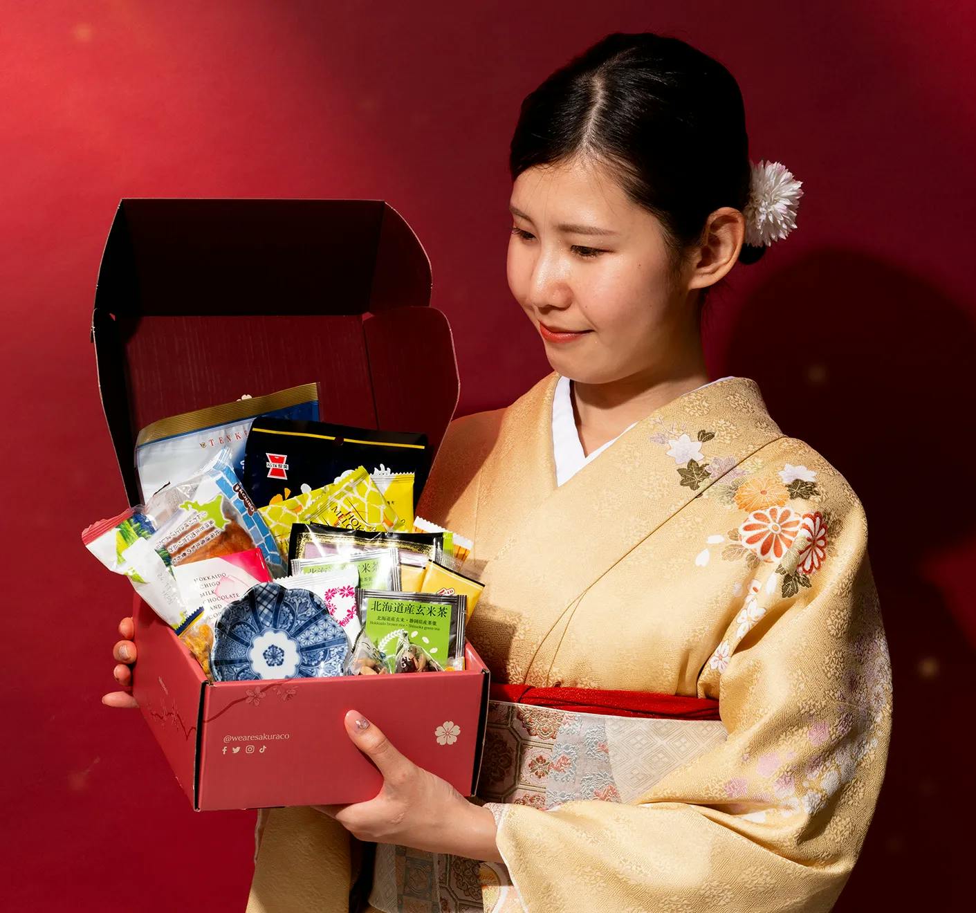 Sakuraco's December Box: Holidays in Hokkaido