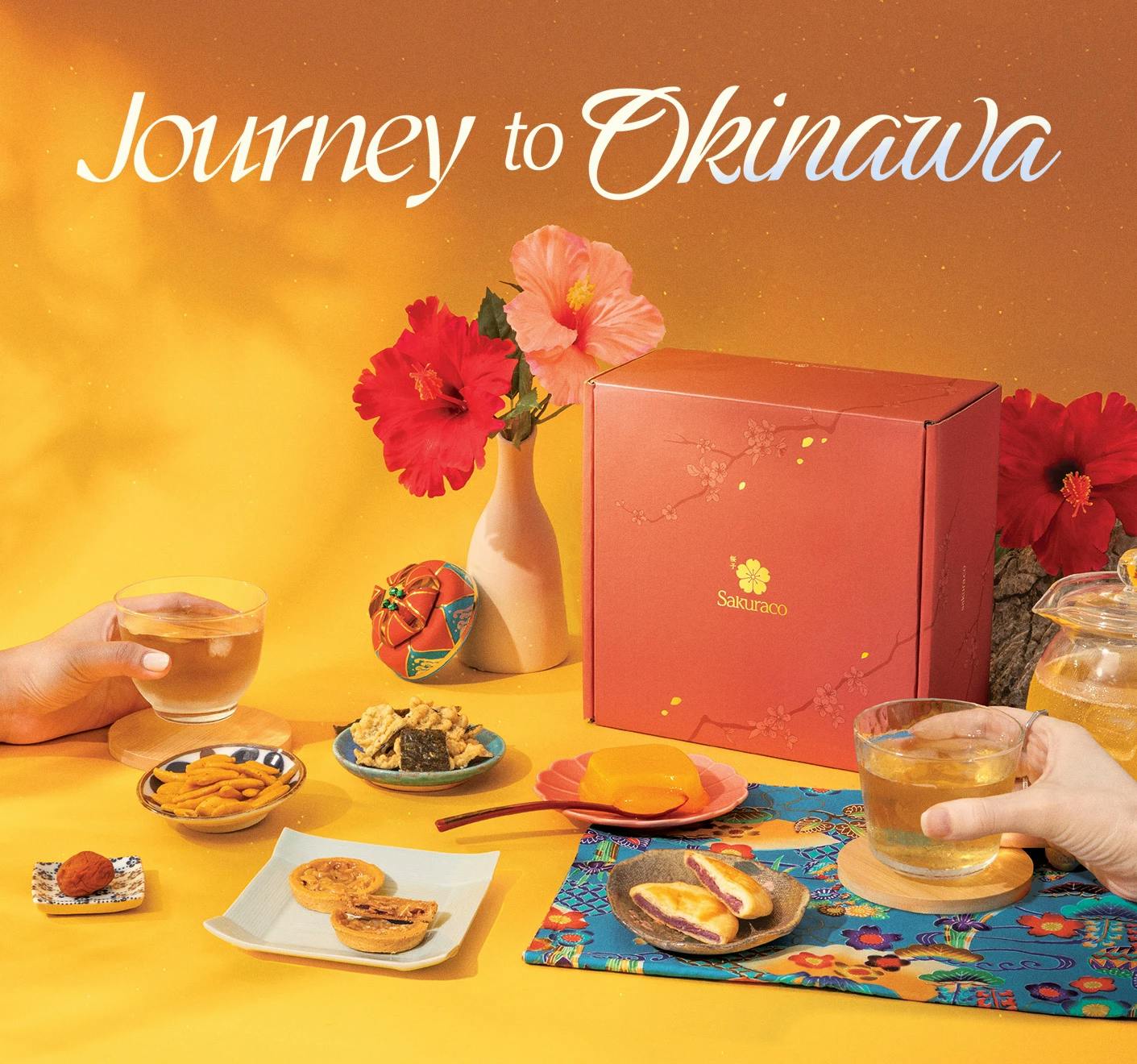 Coming in Your Journey to Okinawa Box