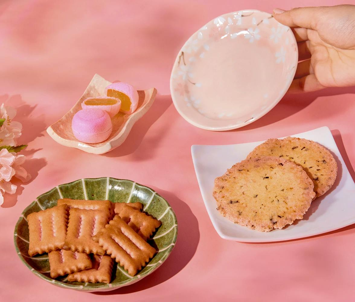 Under the Cherry Blossoms