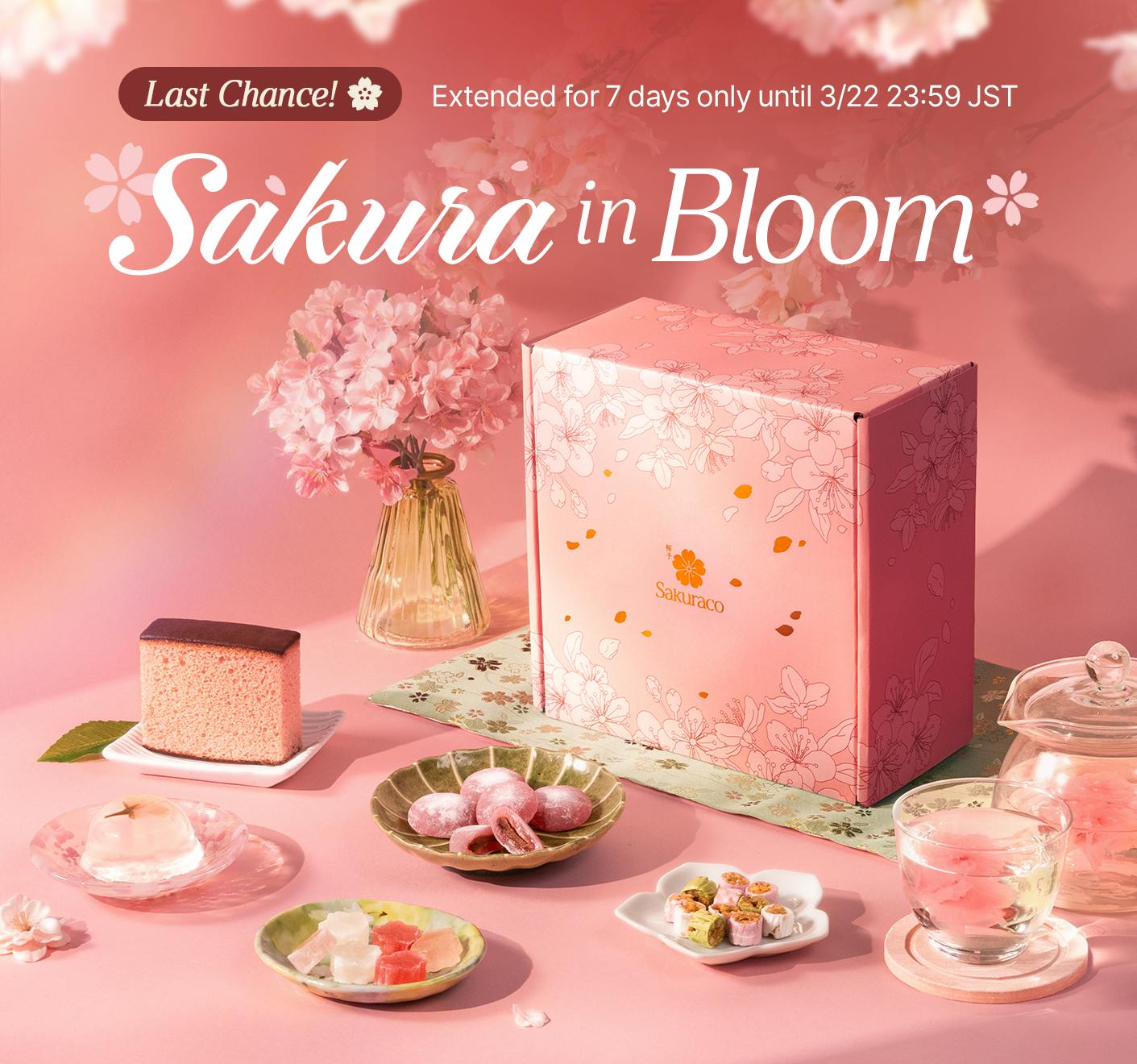 Sakuraco's March 2026 Box - Sakura in Bloom