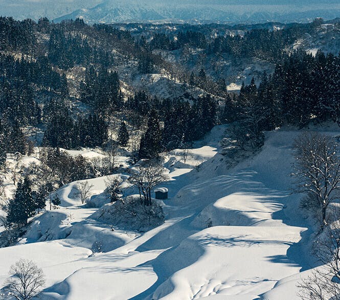 Niigata's Hoshitoge Rice Fields covered in snow.