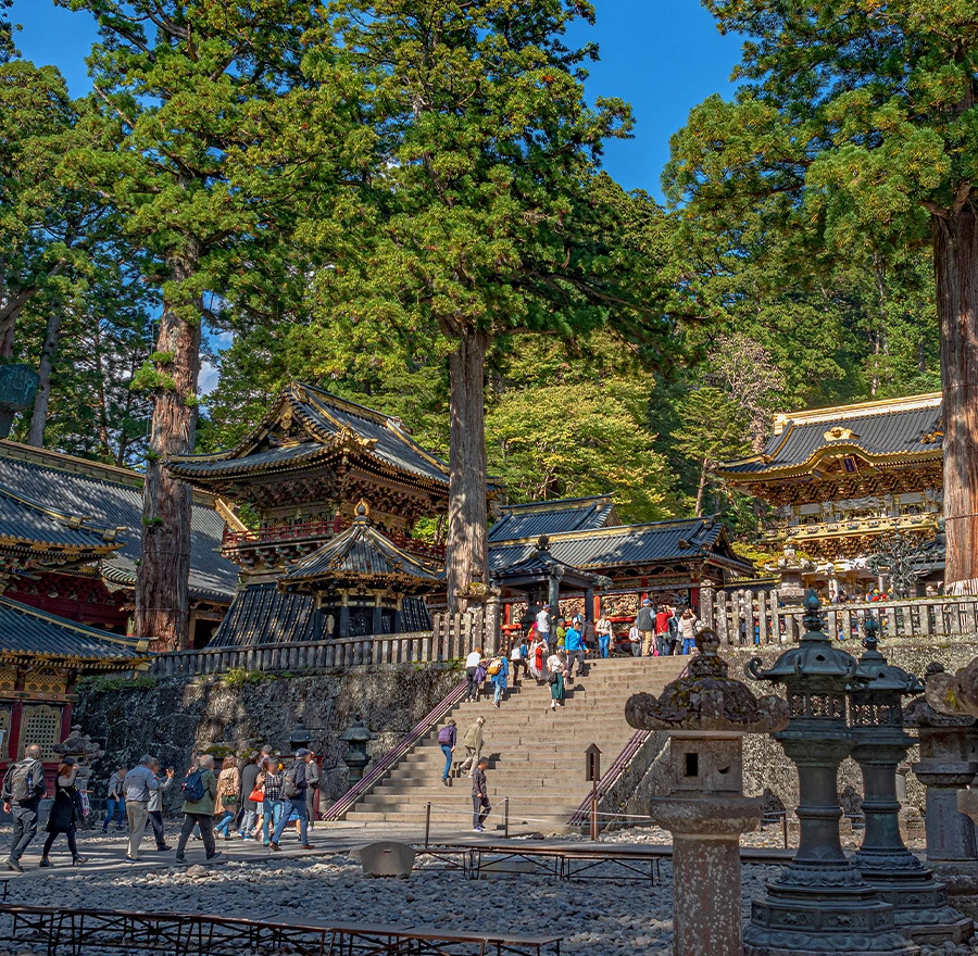 Groups of people enter toshogu shrine on a sunny day