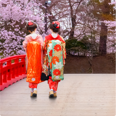 two women in kimono walk together amongst the pink sakura