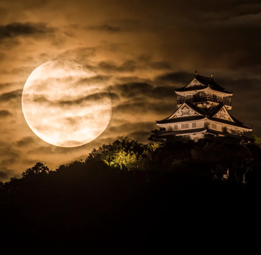 A full moon graces the sky behind the soft shadow of clouds.