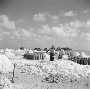 Salt production Bonaire 2- Wikipedia