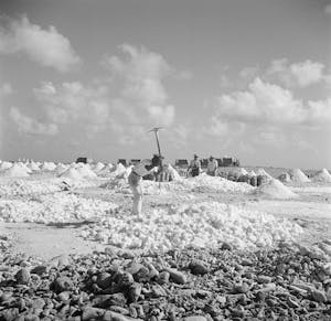 Salt production on Bonaire