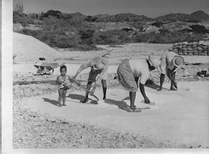 Salt production Bonaire - Wikipedia