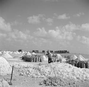 Salt production Bonaire 5 - Wikipedia