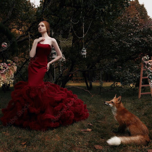 The woman in a dress and a fox