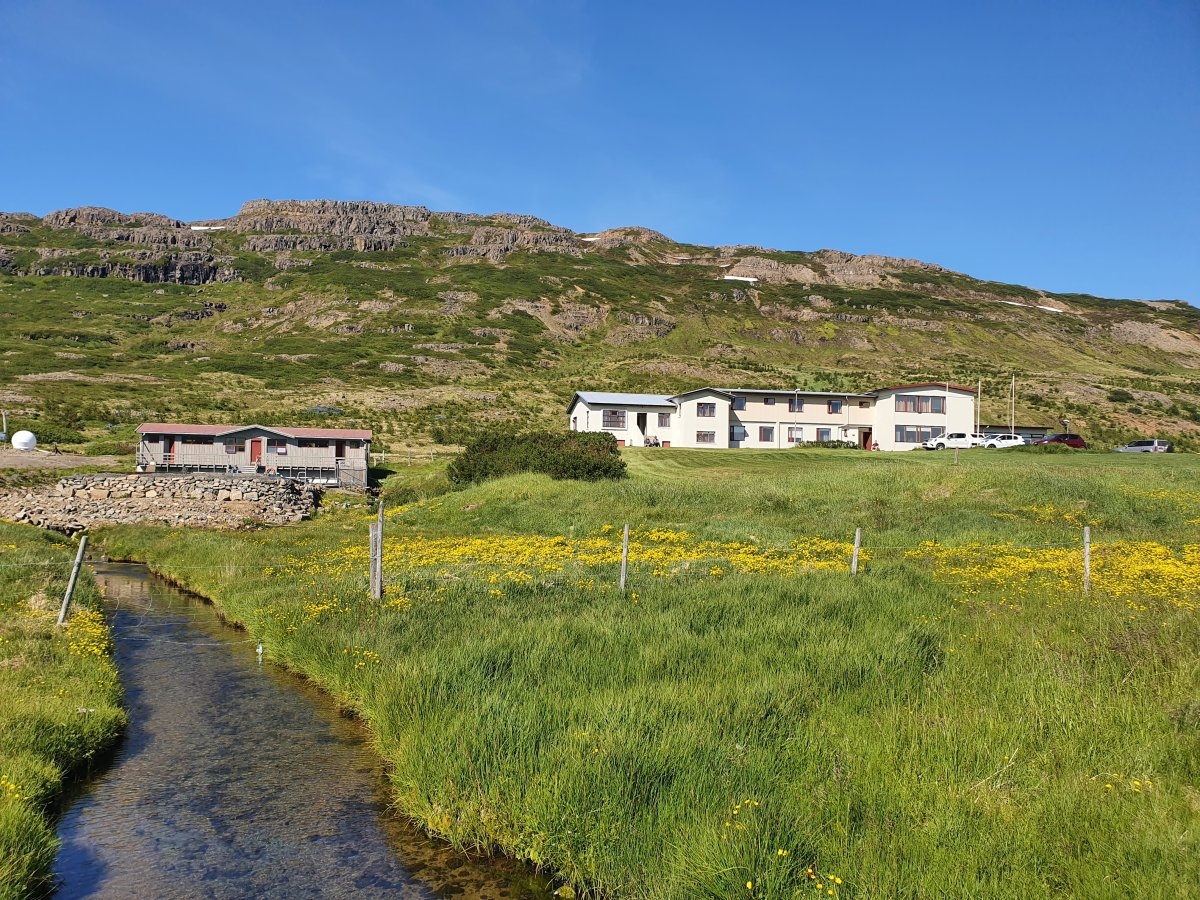 Laugarhóll í Bjarnarfirði