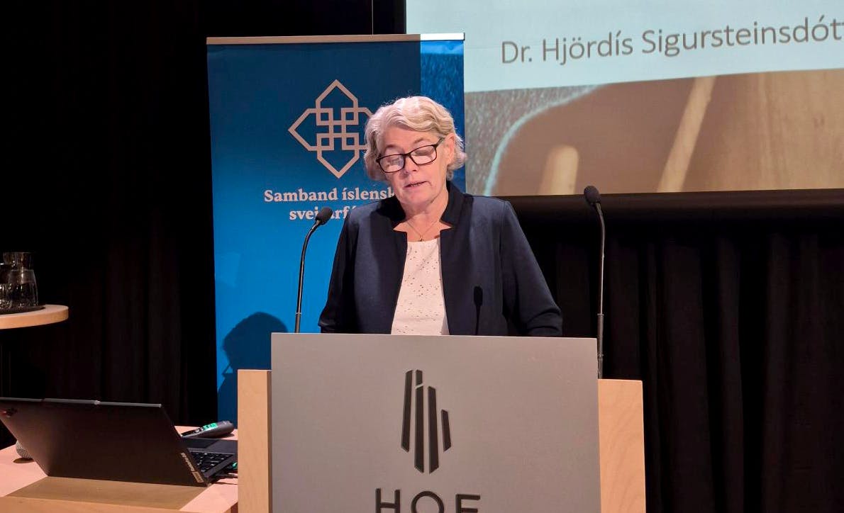 Dr. Hjördís Sigursteinsdóttir flutti erindi á fundinum. 