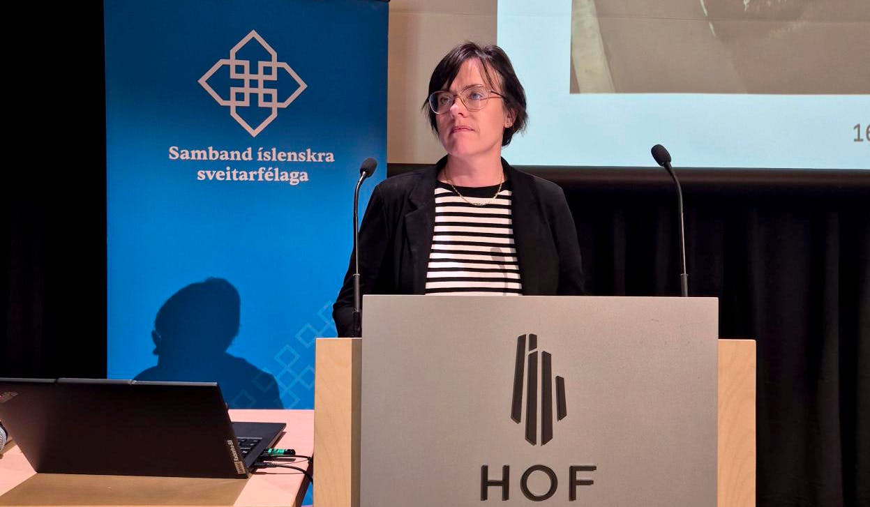 Eva Marín Hlynsdóttir fjallaði um starfsaðstæður kjörinna fulltrúa.