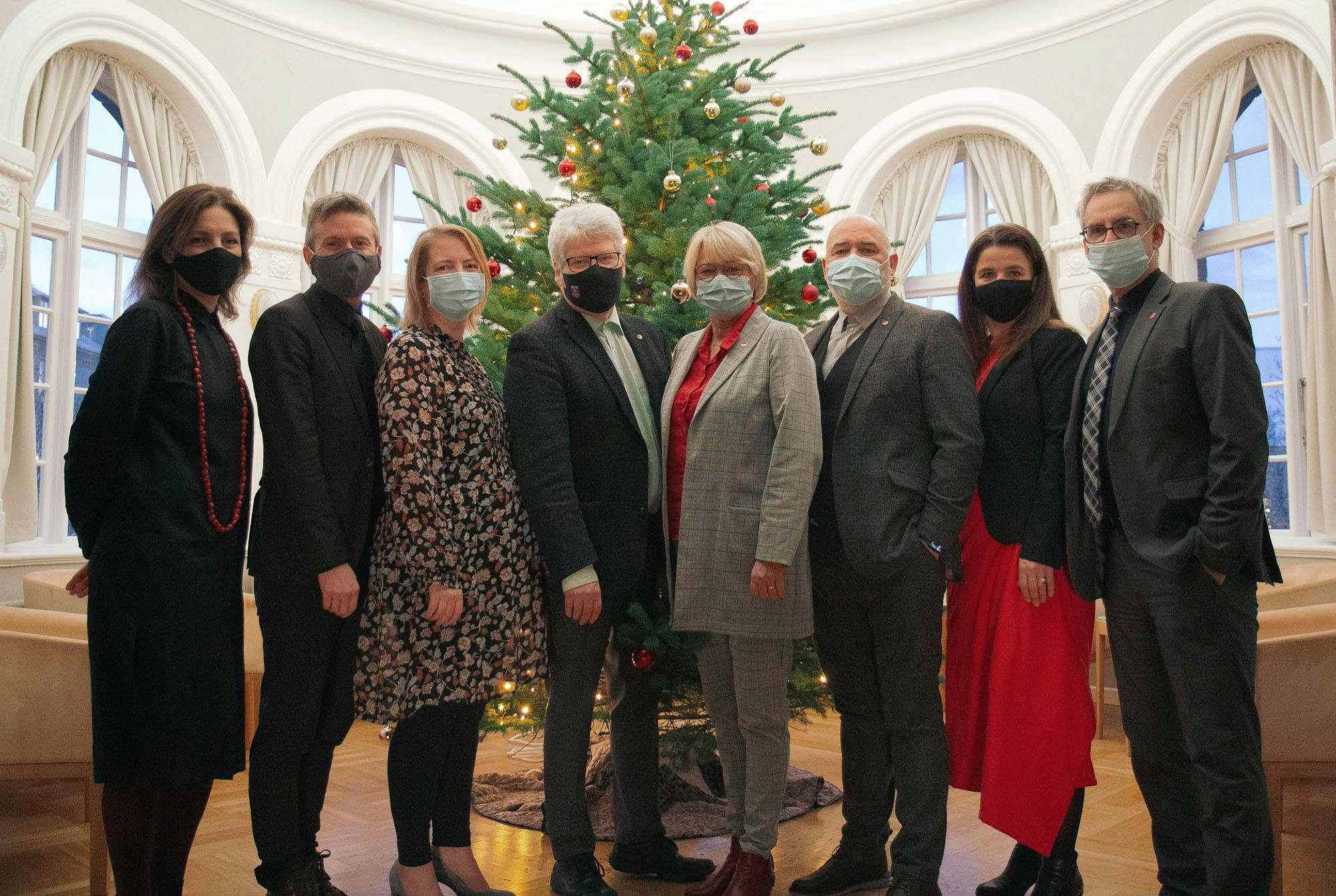 Þingflokkur, jól, gríma, 