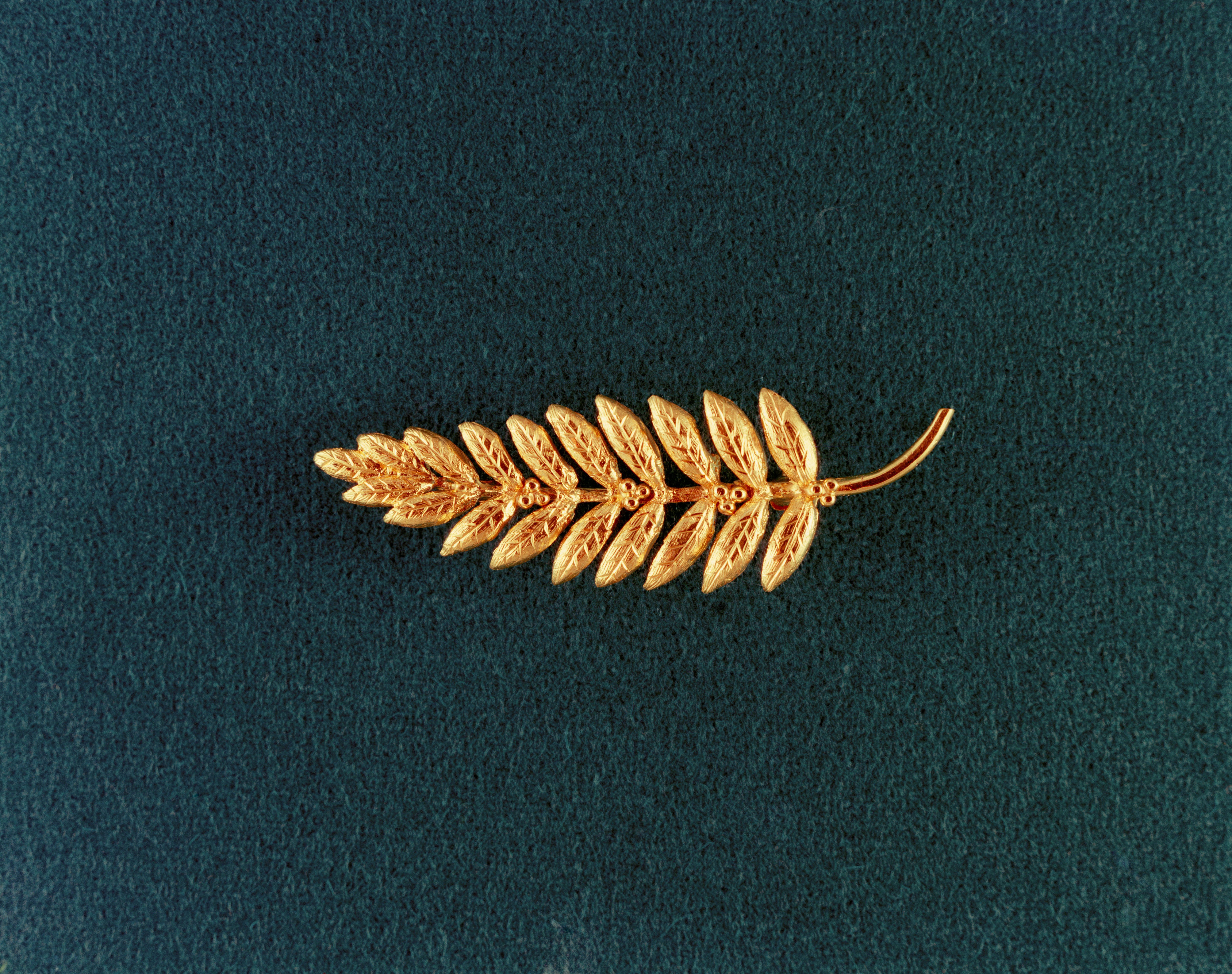 Medal representing an olive branch placed on the Moon ©NASA