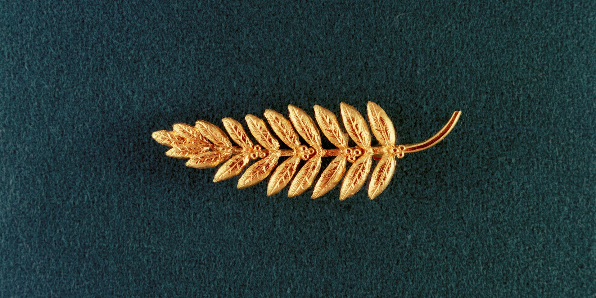 Medal representing an olive branch placed on the Moon ©NASA