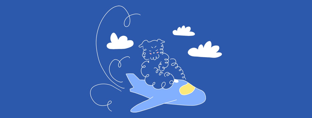 cartoon of a figure traveling by plane