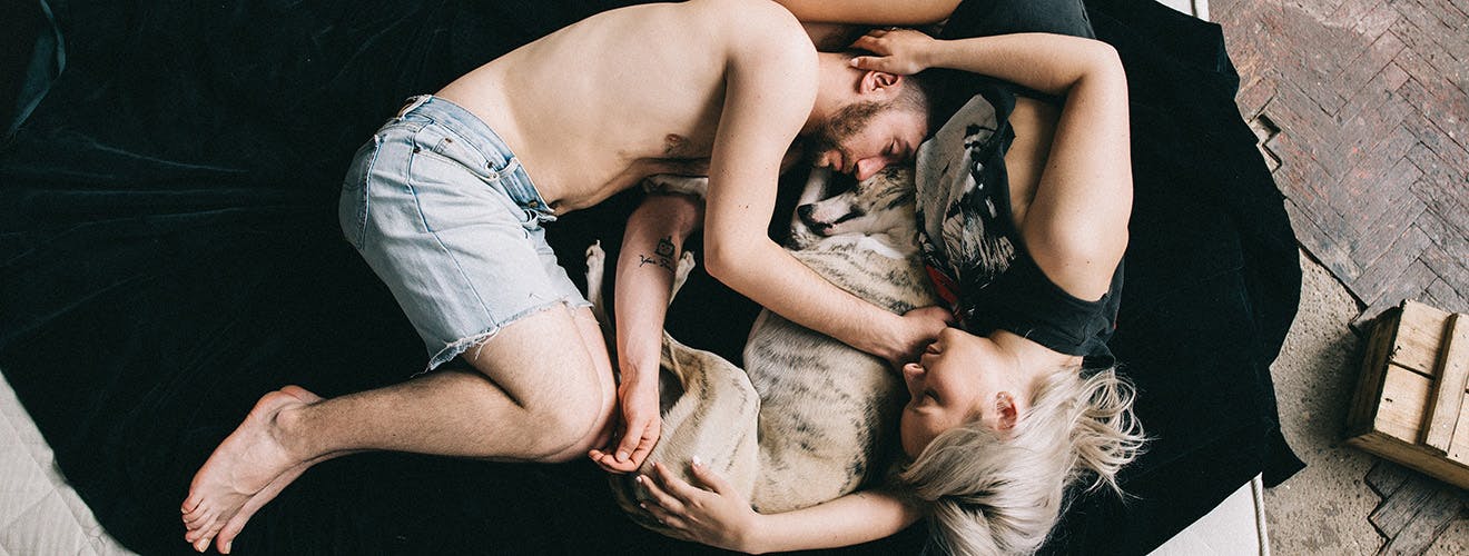 should i let my dog sleep with me?