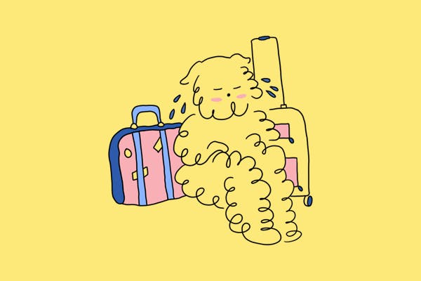 image of a figure leaning on its luggage