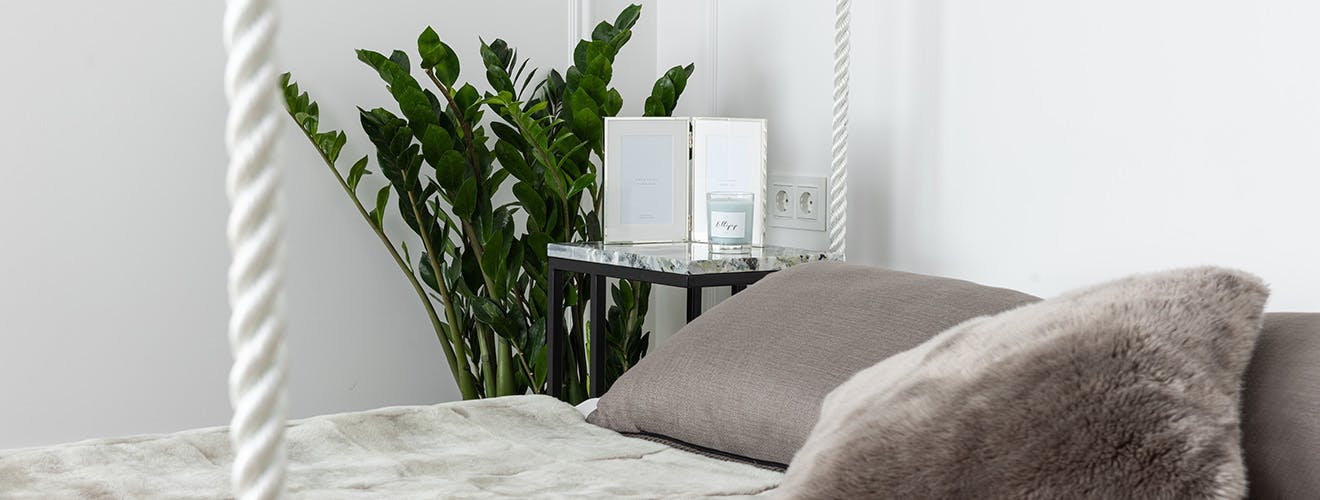 best plants for bedroom