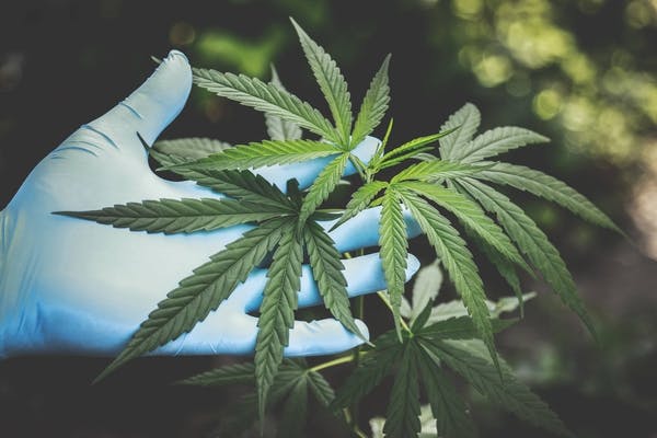types of cbd for sleep