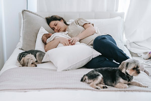 effects of sleeping with your dog