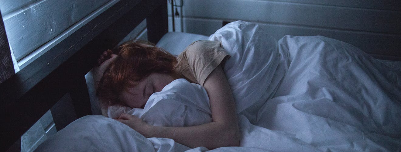why do we need paradoxical sleep