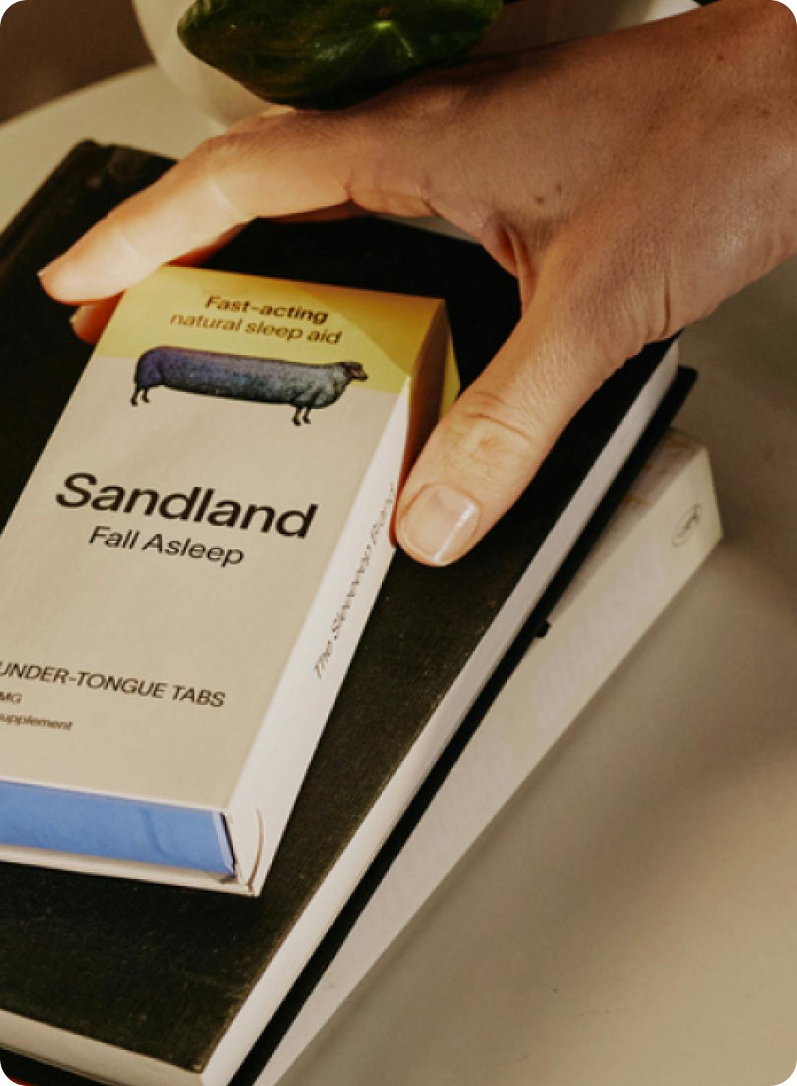 Sandland