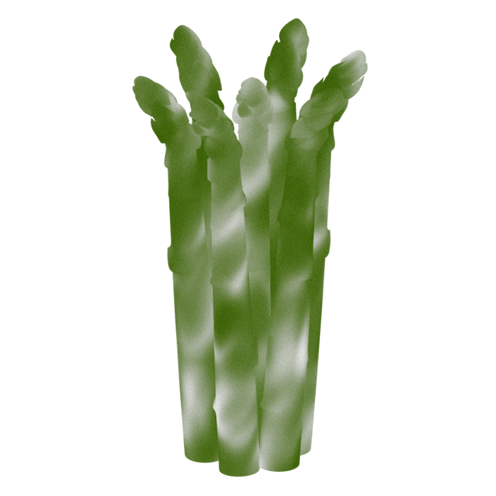 Fresh Asparagus for Retail Sandy Shore Farms