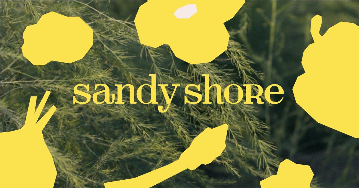 (c) Sandyshore.ca