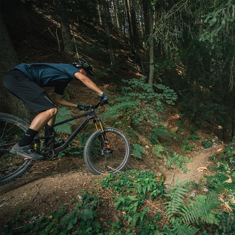Reserve 27 Mountain Wheel