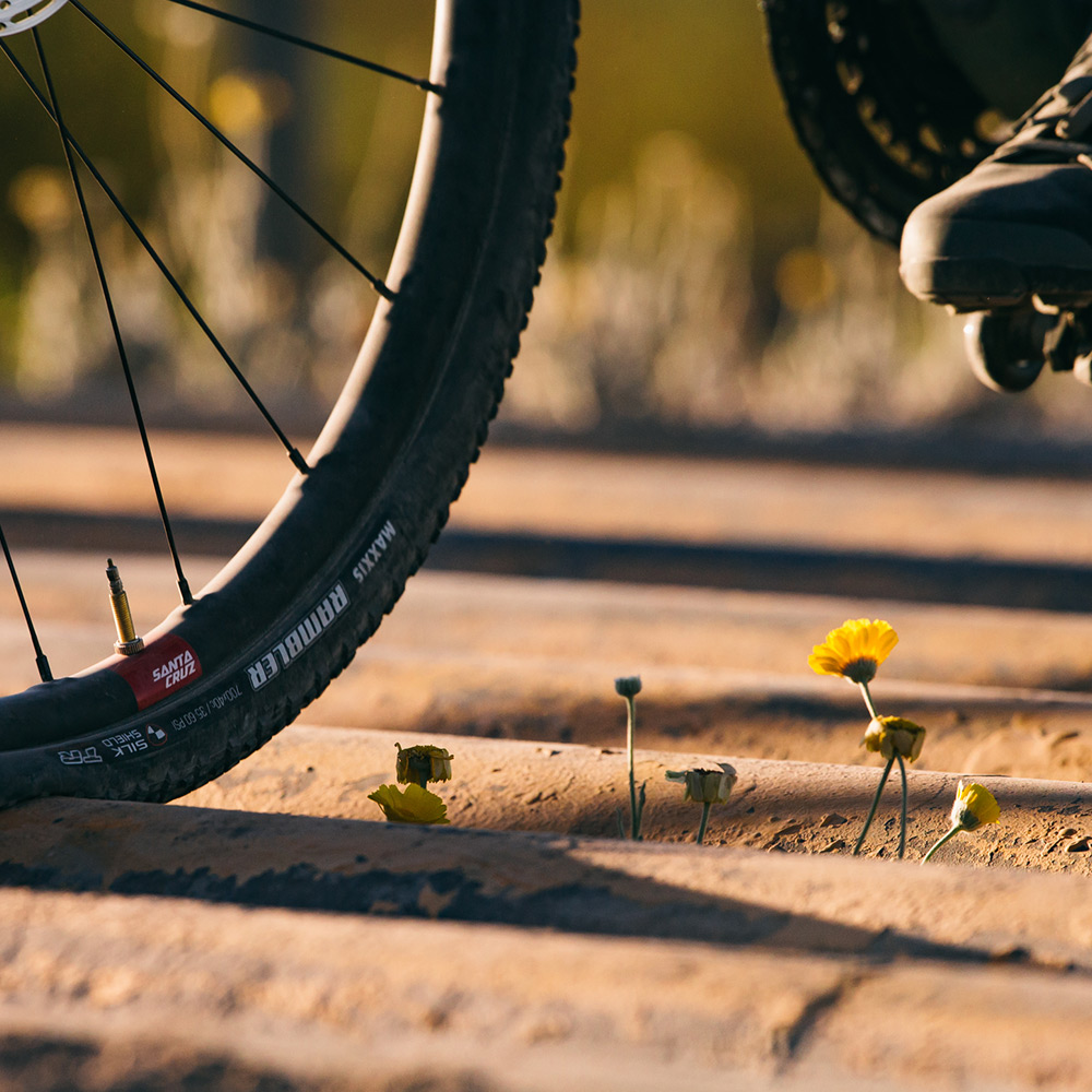 Reserve 22 Gravel Wheel
