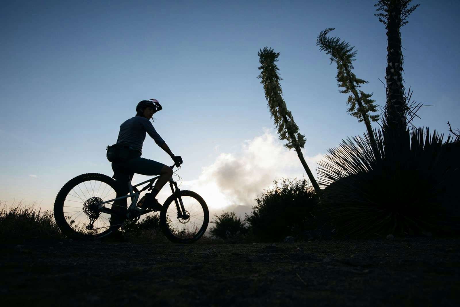 Silhouette of a mountain bike and mountain biker