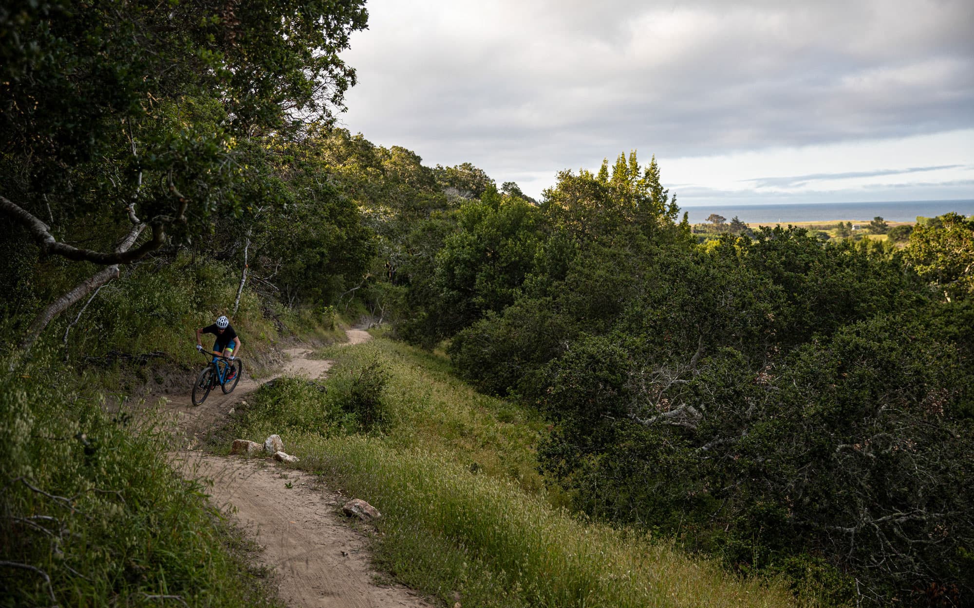 Riding xc mountain bike in the woods