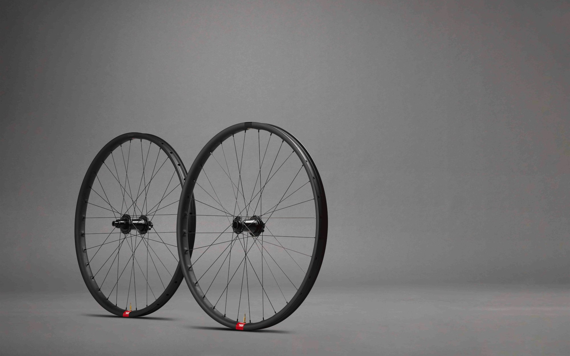 Reserve 31 downhill mountain bike wheelset