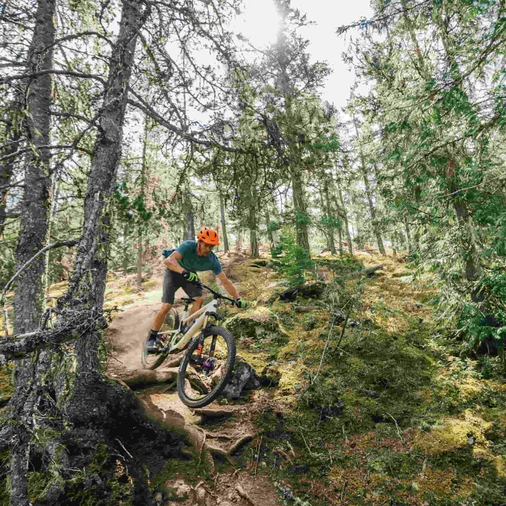 Mountain biking off of a root drop